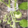 Ganchos de plastico para soporte de plantas abrazaderas para invernadero plantas