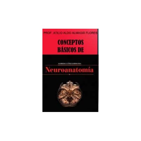 Principios de neuroanatomía